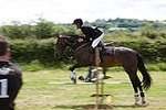 Wanborough Horse and Dog show